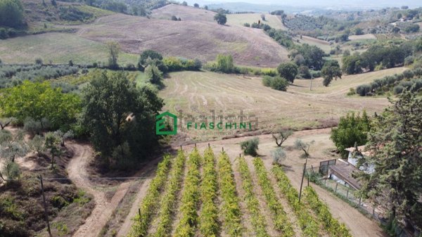 terreno agricolo in vendita a Lugnano in Teverina