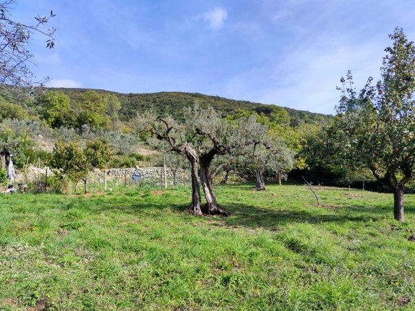 villa in vendita a Lugnano in Teverina