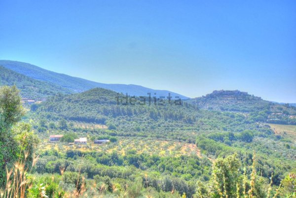 esavano in vendita a Lugnano in Teverina