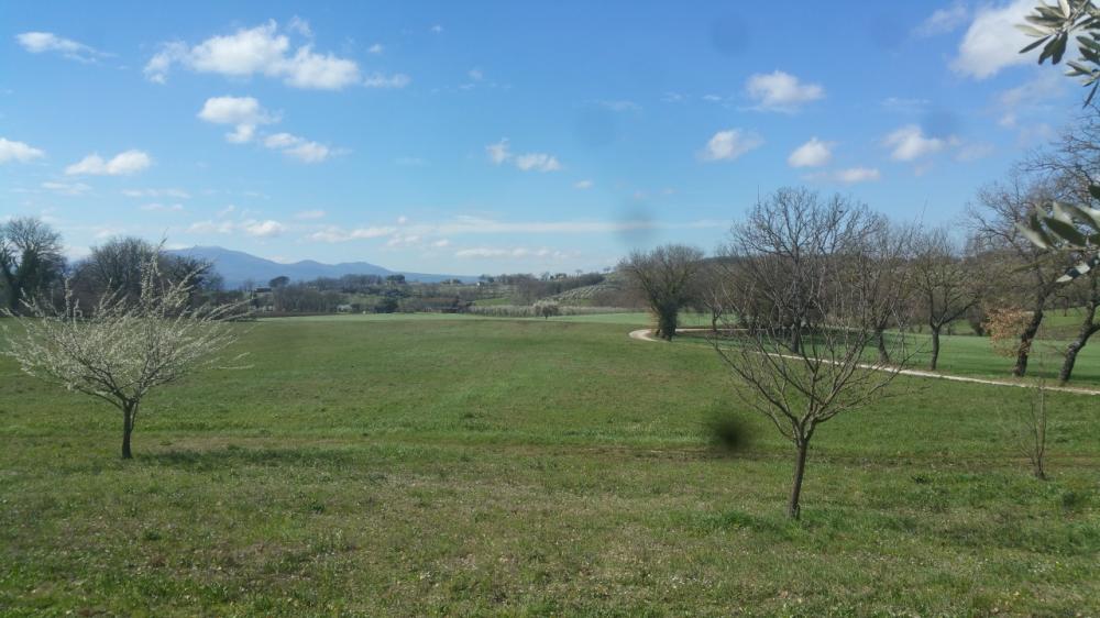 terreno agricolo in vendita a Lugnano in Teverina