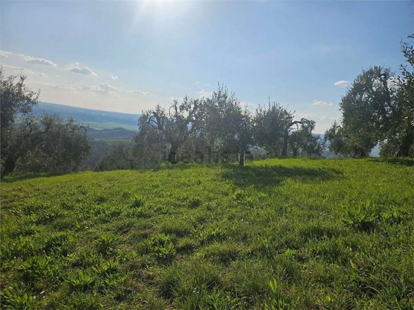 terreno agricolo in vendita a Lugnano in Teverina
