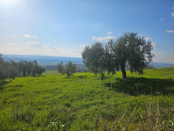 terreno agricolo in vendita a Lugnano in Teverina