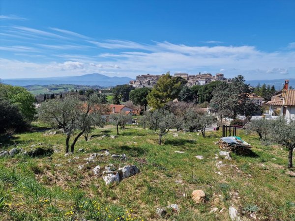casa indipendente in vendita a Lugnano in Teverina