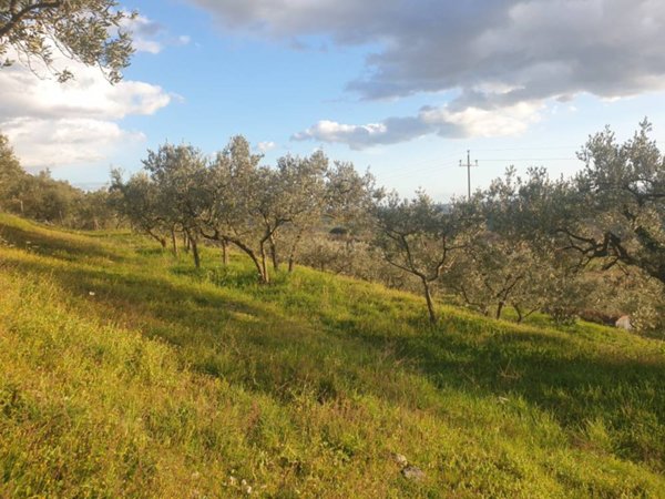terreno agricolo in vendita a Lugnano in Teverina
