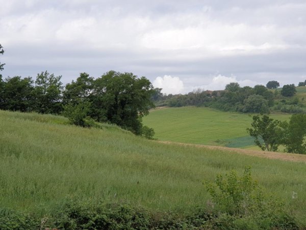 azienda agricola in vendita a Lugnano in Teverina