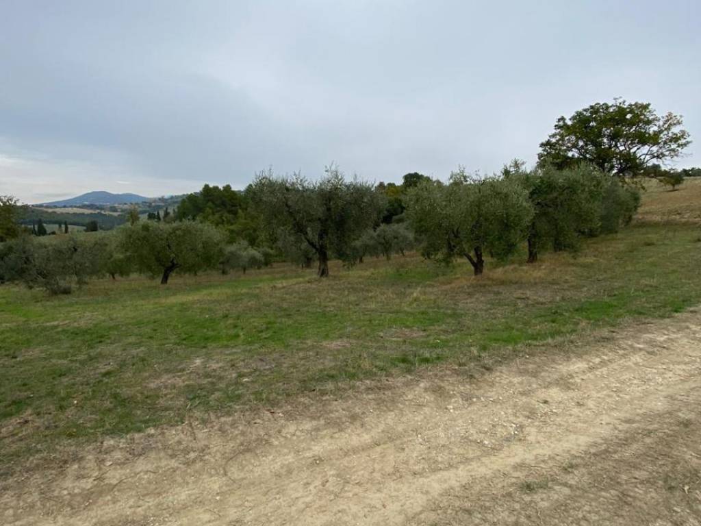 terreno in vendita a Lugnano in Teverina