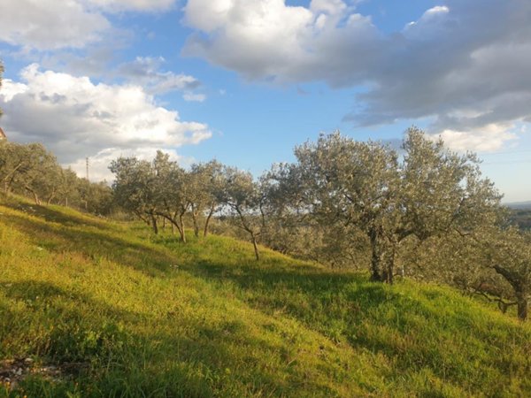 terreno in vendita a Lugnano in Teverina