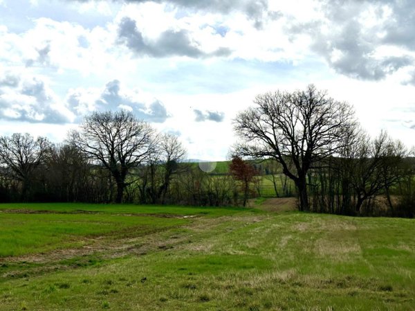 terreno agricolo in vendita a Montecastrilli in zona Castel dell'Aquila