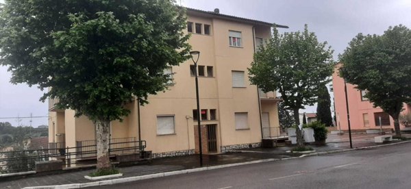 appartamento in vendita a Montecastrilli