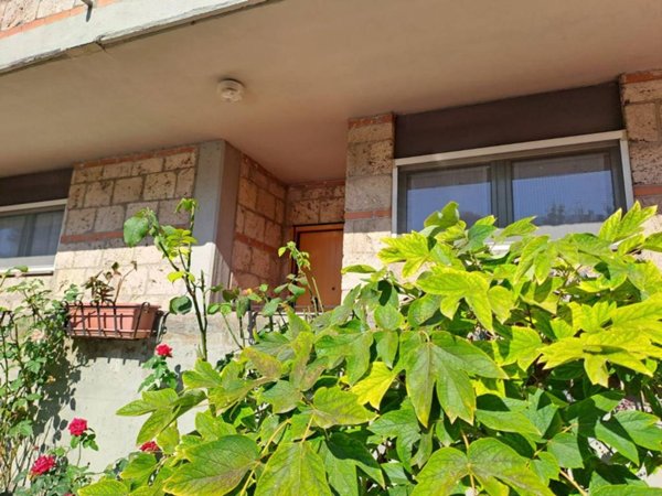 appartamento in vendita a Montecastrilli