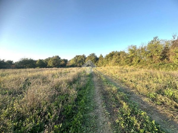 terreno agricolo in vendita a Montecastrilli