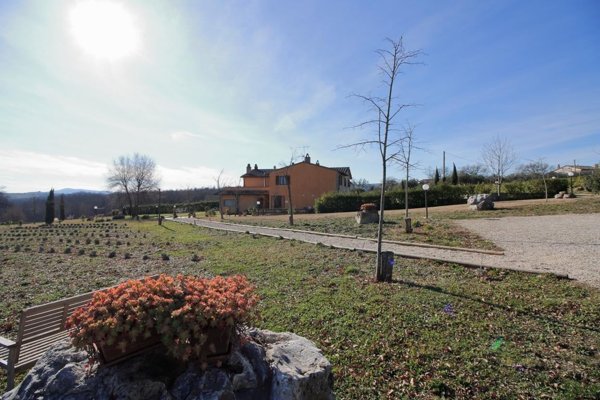 casa indipendente in vendita a Montecastrilli