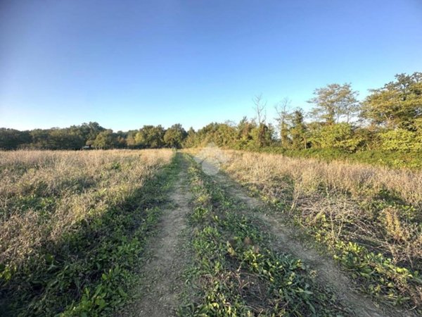 terreno agricolo in vendita a Montecastrilli