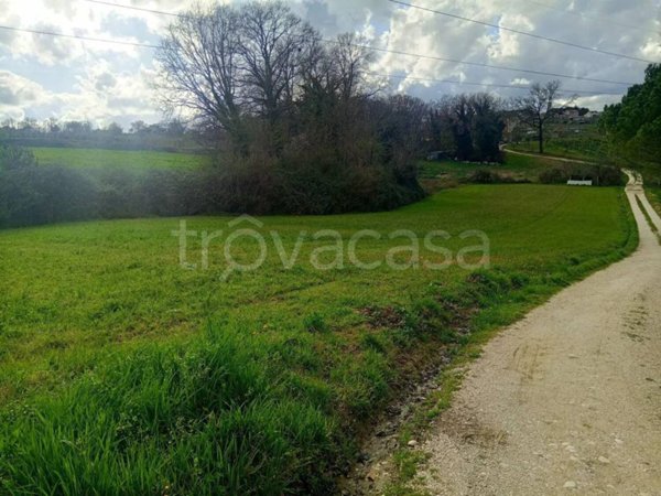casa indipendente in vendita a Montecastrilli