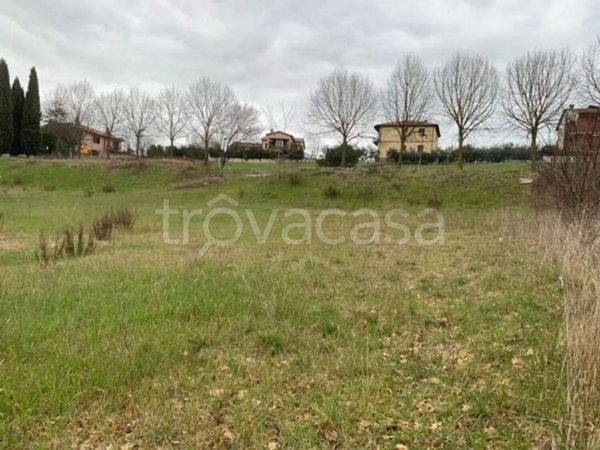 terreno agricolo in vendita a Montecastrilli