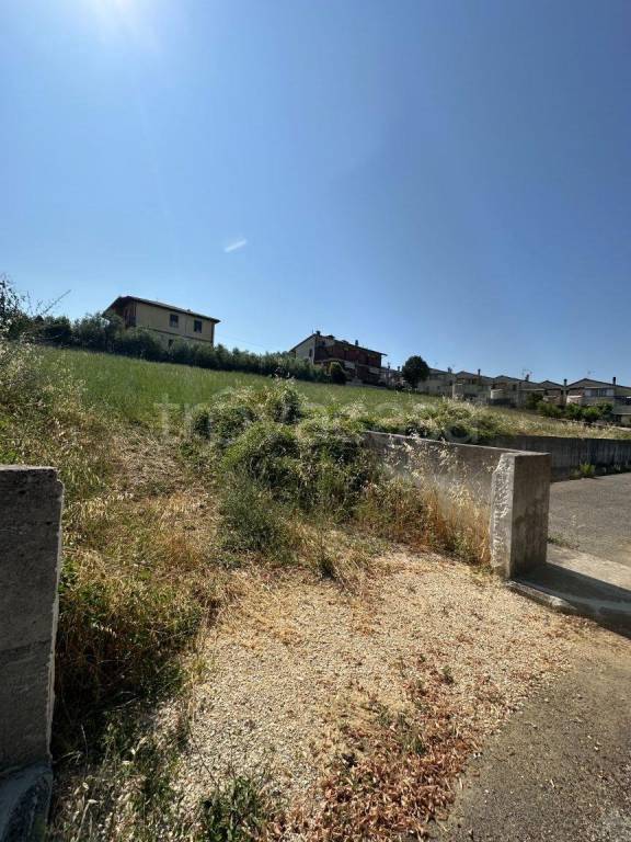 terreno agricolo in vendita a Montecastrilli
