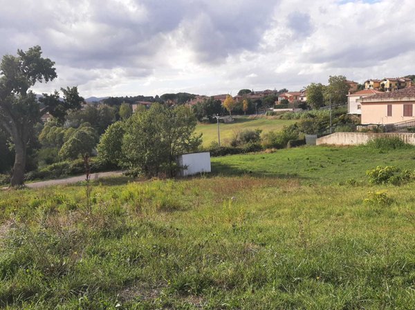 terreno industriale in vendita a Montecastrilli