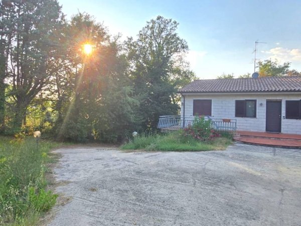 casa indipendente in vendita a Montecastrilli in zona Casteltodino