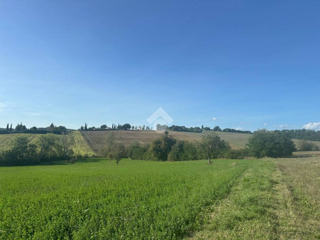 terreno agricolo in vendita a Montecastrilli