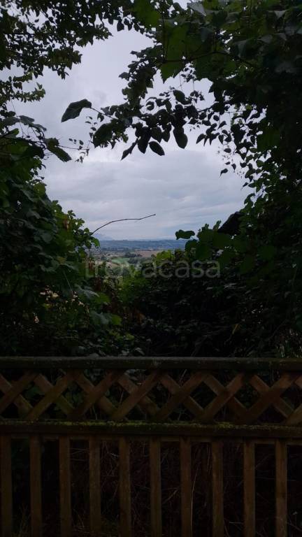 azienda agricola in vendita a Montecastrilli