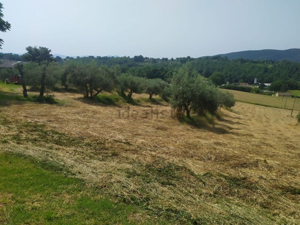 appartamento in vendita a Montecastrilli