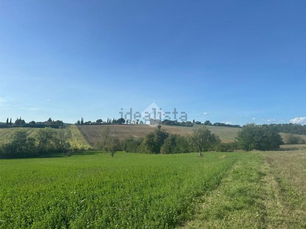 terreno agricolo in vendita a Montecastrilli