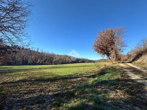 terreno agricolo in vendita a Montecastrilli in zona Colle Secco