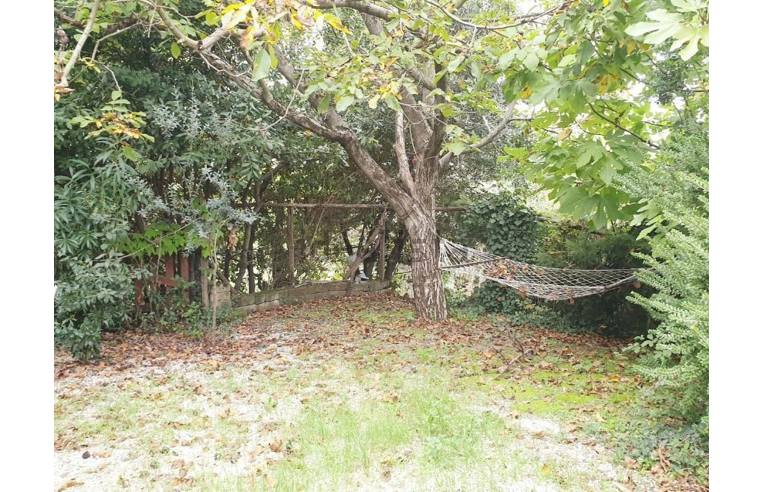 casa indipendente in vendita a Montecastrilli