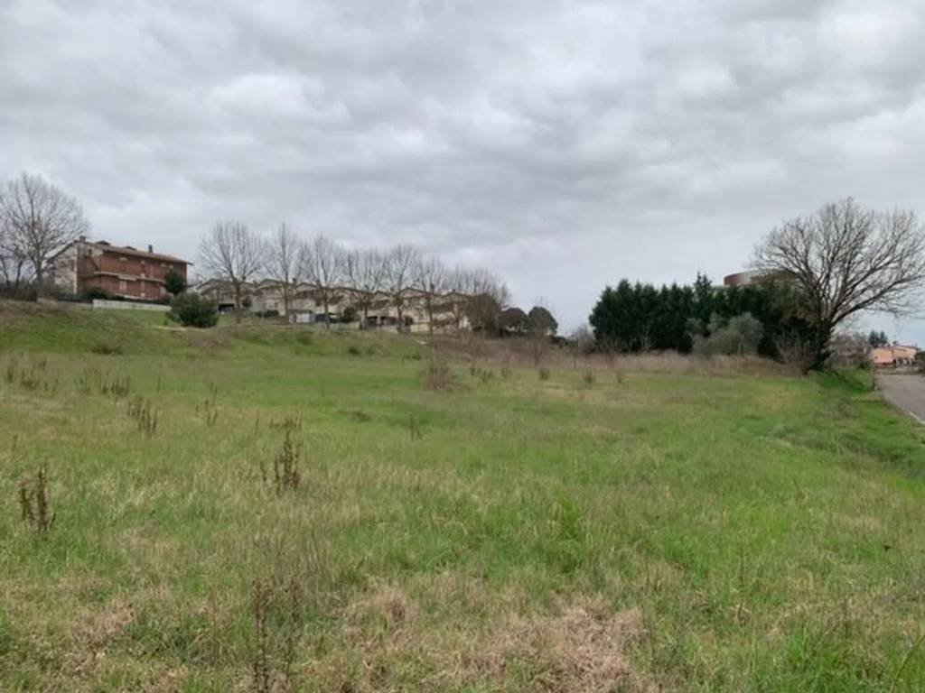 terreno agricolo in vendita a Montecastrilli