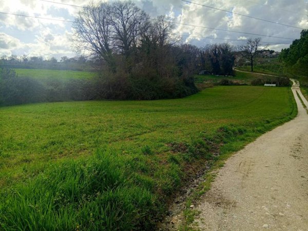 terreno agricolo in vendita a Montecastrilli