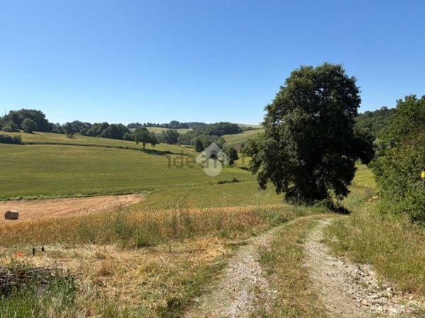 terreno agricolo in vendita a Montecastrilli in zona Colle Secco