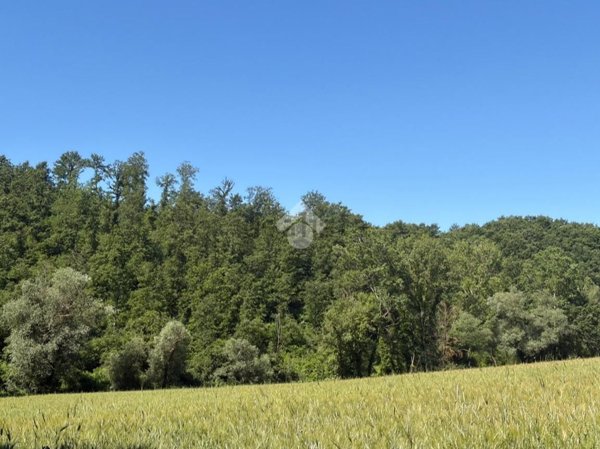 terreno agricolo in vendita a Montecastrilli in zona Colle Secco