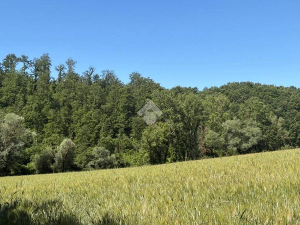 terreno agricolo in vendita a Montecastrilli in zona Colle Secco