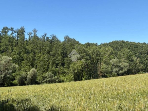 terreno agricolo in vendita a Montecastrilli in zona Colle Secco