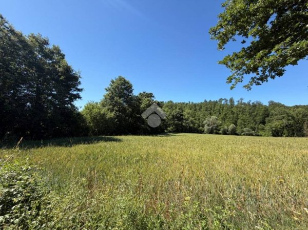 terreno agricolo in vendita a Montecastrilli in zona Colle Secco