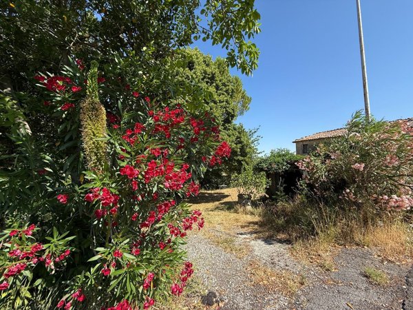 casa indipendente in vendita a Montecastrilli