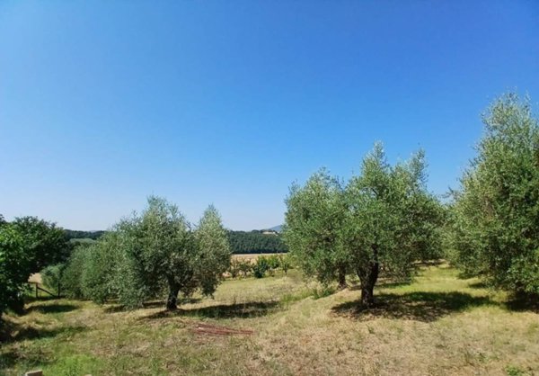 casa indipendente in vendita a Montecastrilli