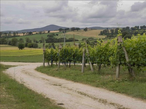 pentavano in vendita a Montecastrilli in zona Colle Secco