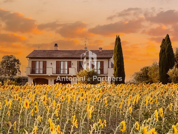 casa indipendente in vendita a Montecastrilli