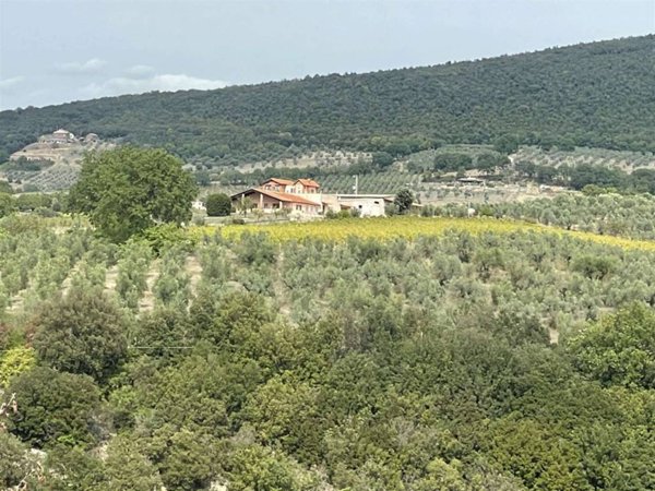negozio in vendita a Montecchio