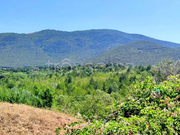 terreno agricolo in vendita a Montecchio