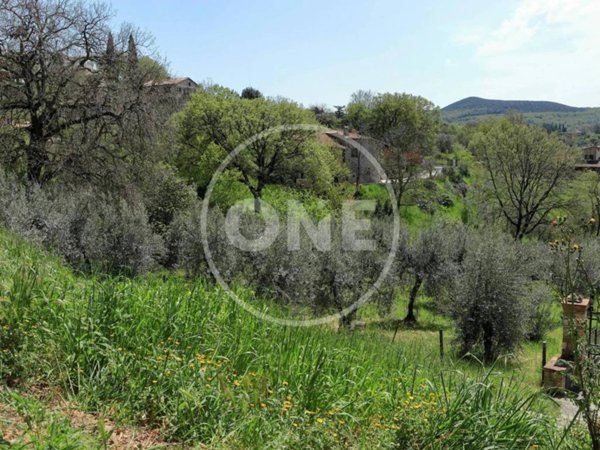 terreno agricolo in vendita a Montecchio