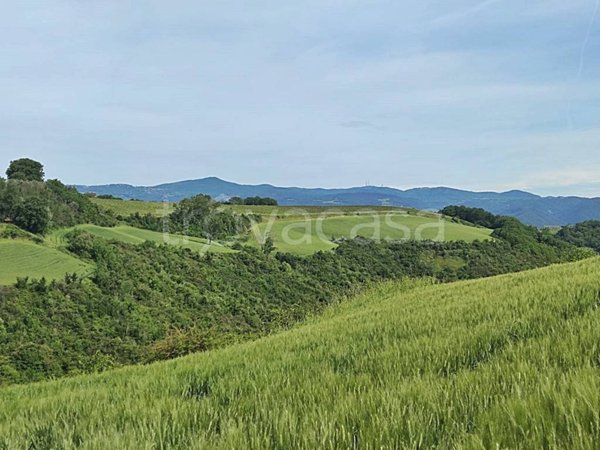 azienda agricola in vendita a Montecchio