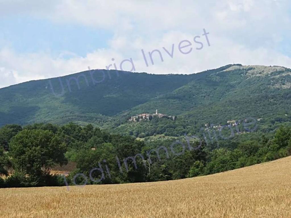 casa indipendente in vendita a Montecchio