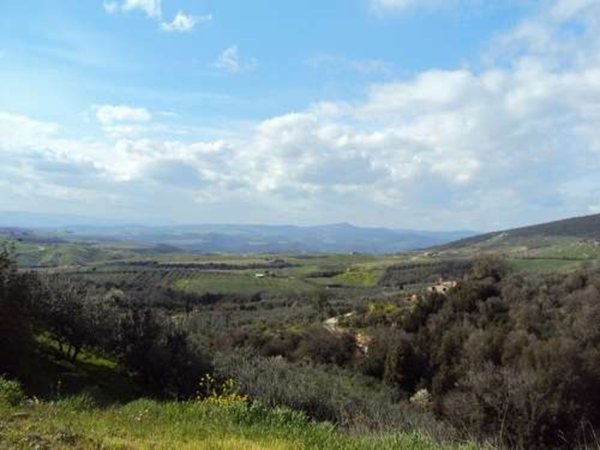 locale di sgombero in vendita a Montecchio
