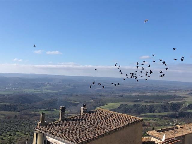 terreno agricolo in vendita a Montecchio