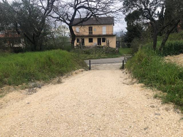 terreno agricolo in vendita a Montecchio