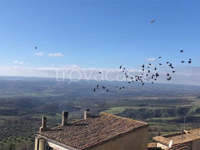 terreno agricolo in vendita a Montecchio