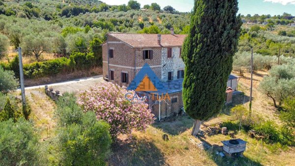 casale in vendita a Montecchio