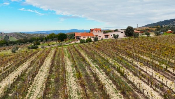 casa indipendente in vendita a Montecchio